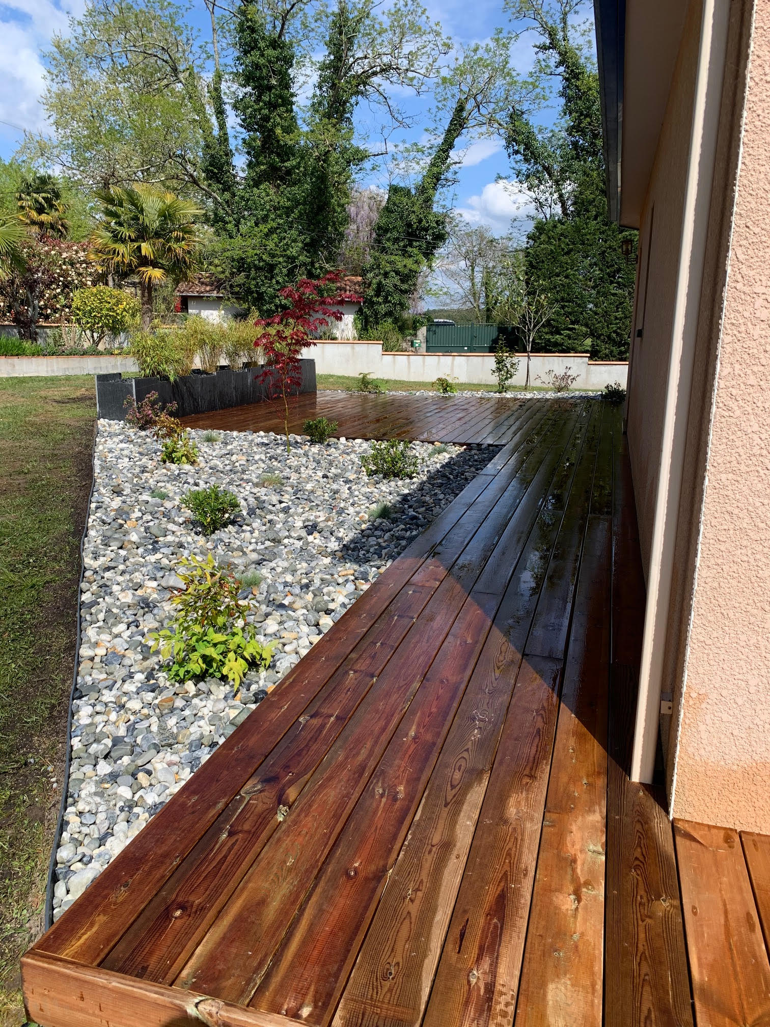 Homme relaxé près d'un olivier bonsaï dans son jardin Un homme souriant en t-shirt vert et short beige assis à côté d'un olivier bonsaï dans un jardin aménagé.