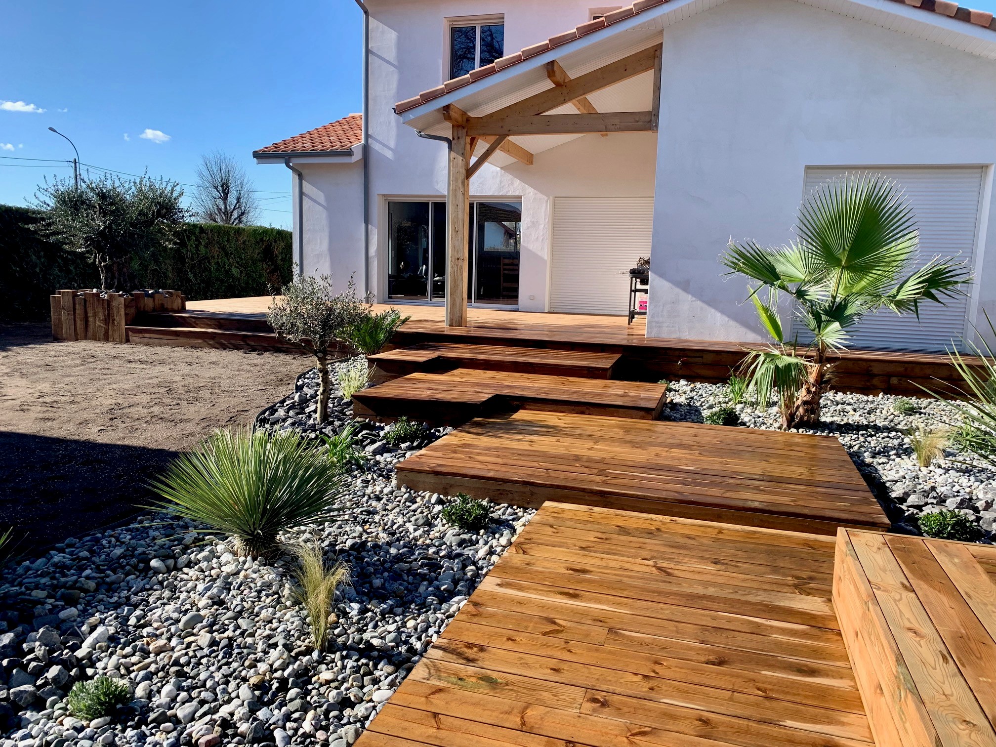 Homme relaxé près d'un olivier bonsaï dans son jardin Un homme souriant en t-shirt vert et short beige assis à côté d'un olivier bonsaï dans un jardin aménagé.