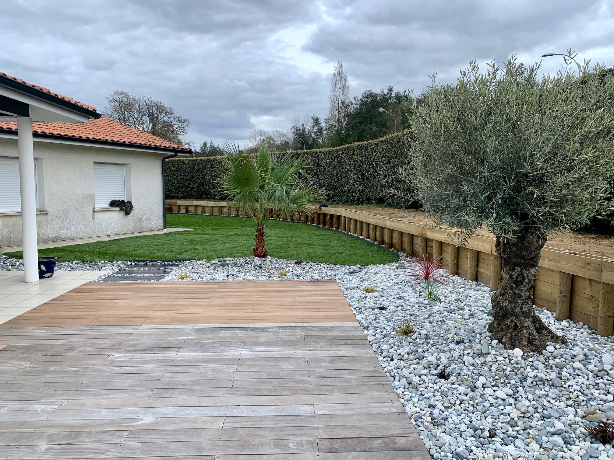 Homme relaxé près d'un olivier bonsaï dans son jardin Un homme souriant en t-shirt vert et short beige assis à côté d'un olivier bonsaï dans un jardin aménagé.