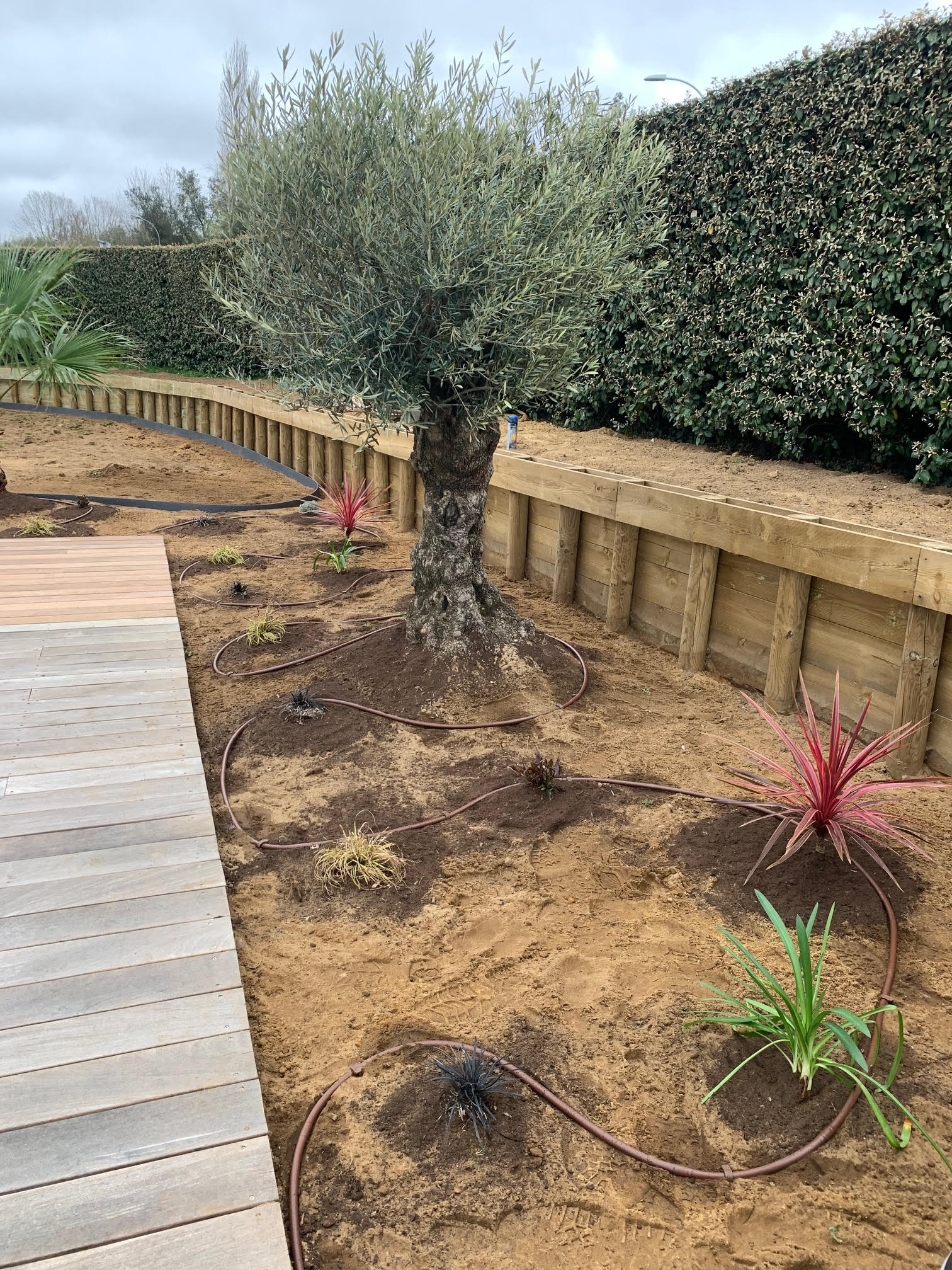 Aménagement d'extérieur sur Dax