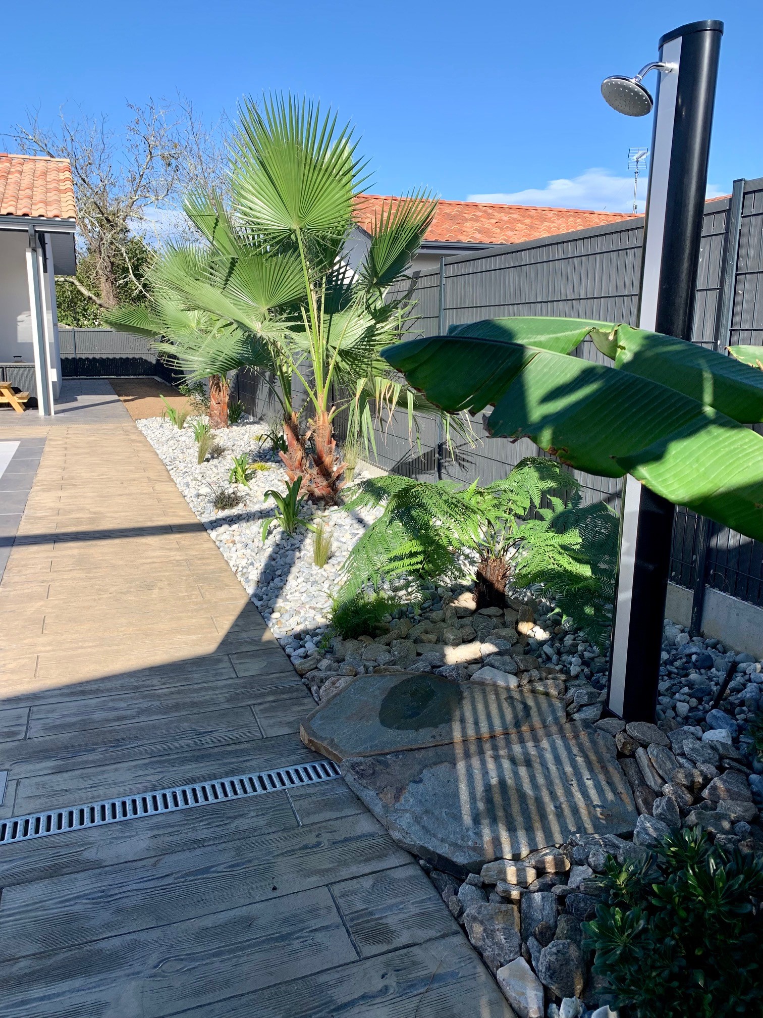 Homme relaxé près d'un olivier bonsaï dans son jardin Un homme souriant en t-shirt vert et short beige assis à côté d'un olivier bonsaï dans un jardin aménagé.