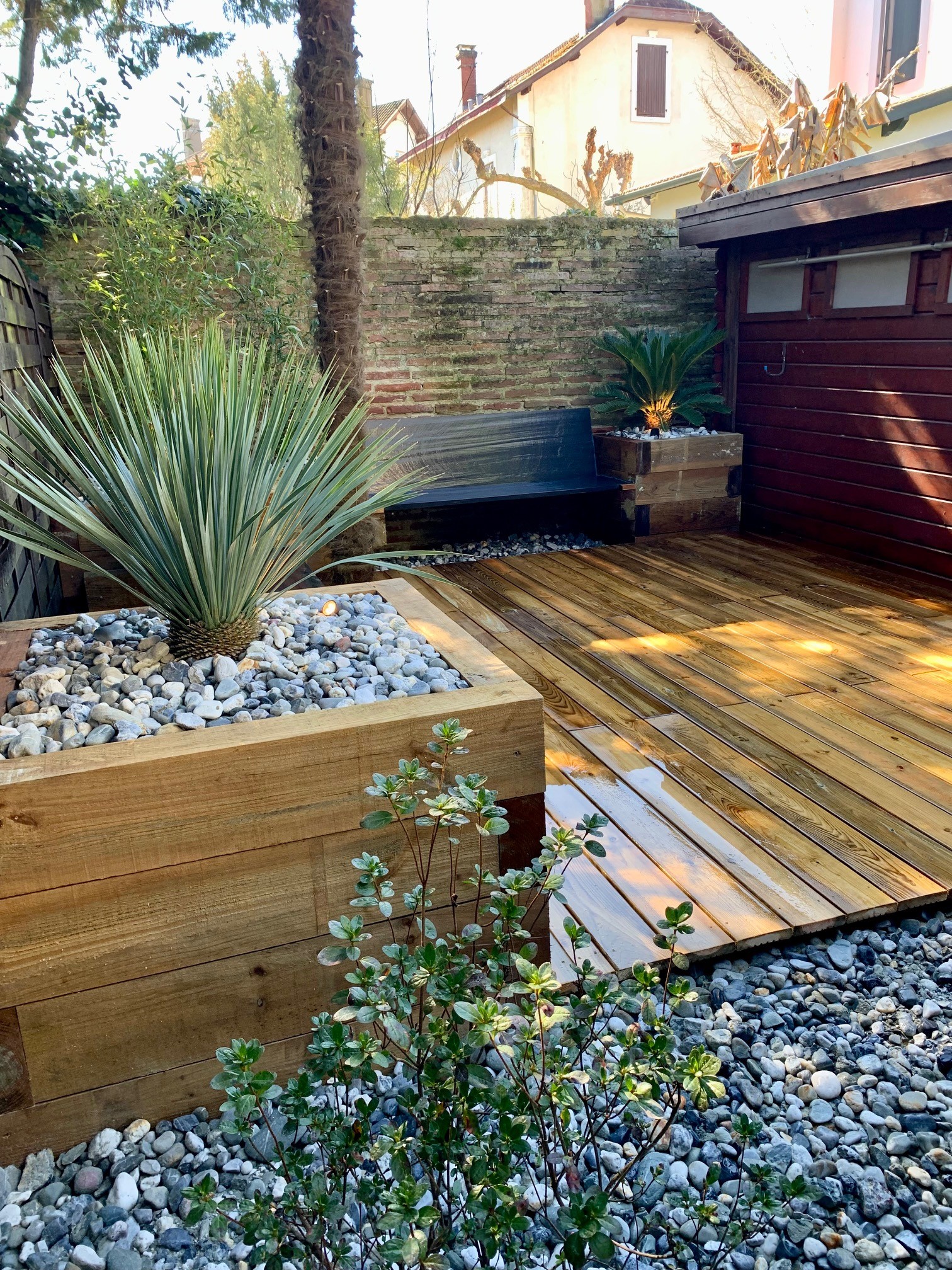 Homme relaxé près d'un olivier bonsaï dans son jardin Un homme souriant en t-shirt vert et short beige assis à côté d'un olivier bonsaï dans un jardin aménagé.