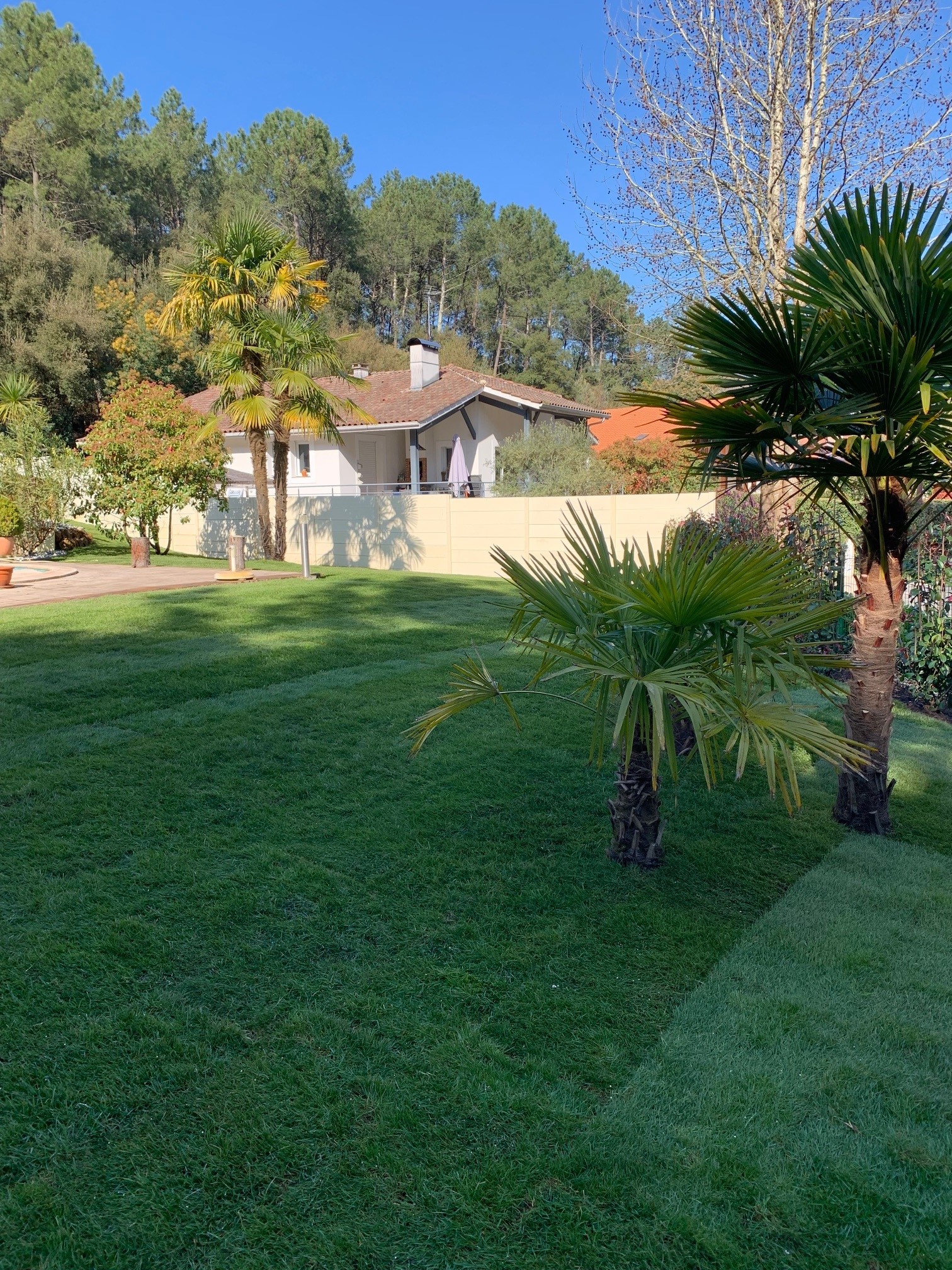 Création et aménagement d'une berlinoise et d'un massif à Seignosse près de Hossegor