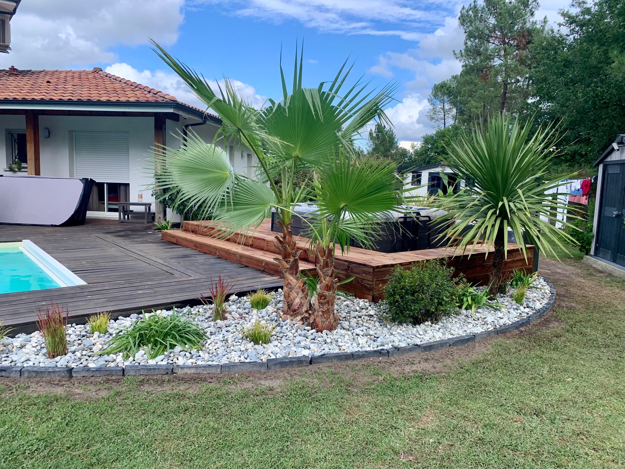 Homme relaxé près d'un olivier bonsaï dans son jardin Un homme souriant en t-shirt vert et short beige assis à côté d'un olivier bonsaï dans un jardin aménagé.
