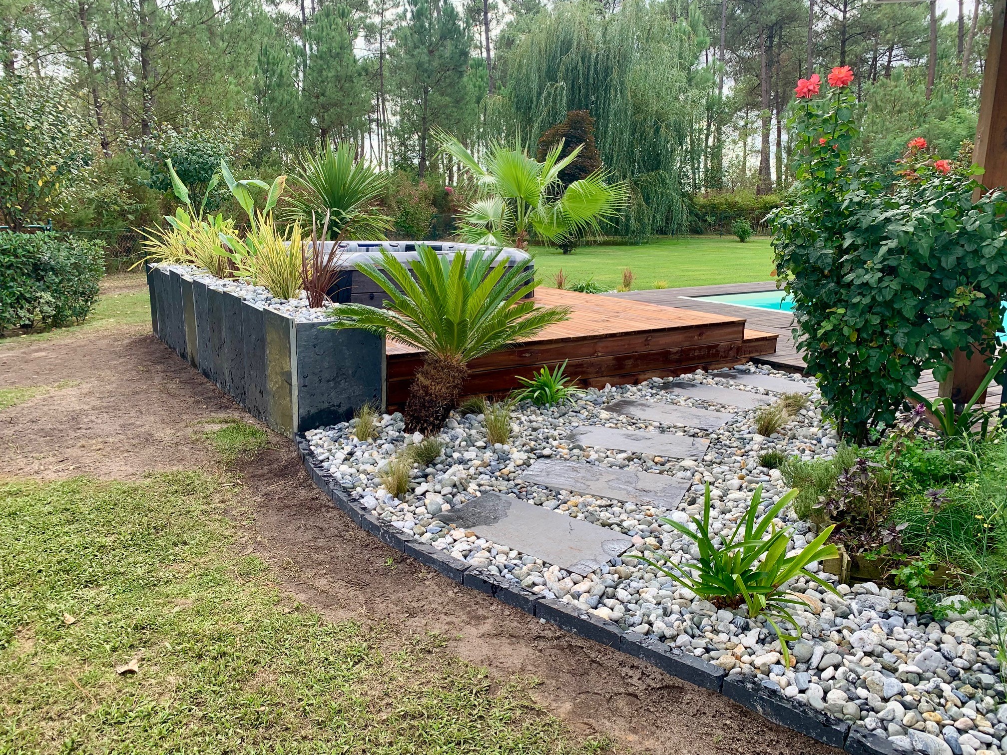 Homme relaxé près d'un olivier bonsaï dans son jardin Un homme souriant en t-shirt vert et short beige assis à côté d'un olivier bonsaï dans un jardin aménagé.